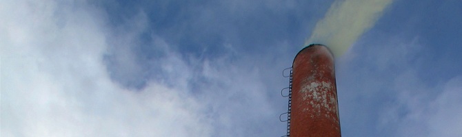 corrosion protection of internal surfaces of chimneys